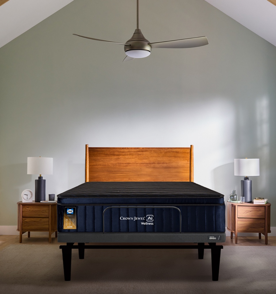 CAMA ELÉCTRICA WELLNESS TEMPUR