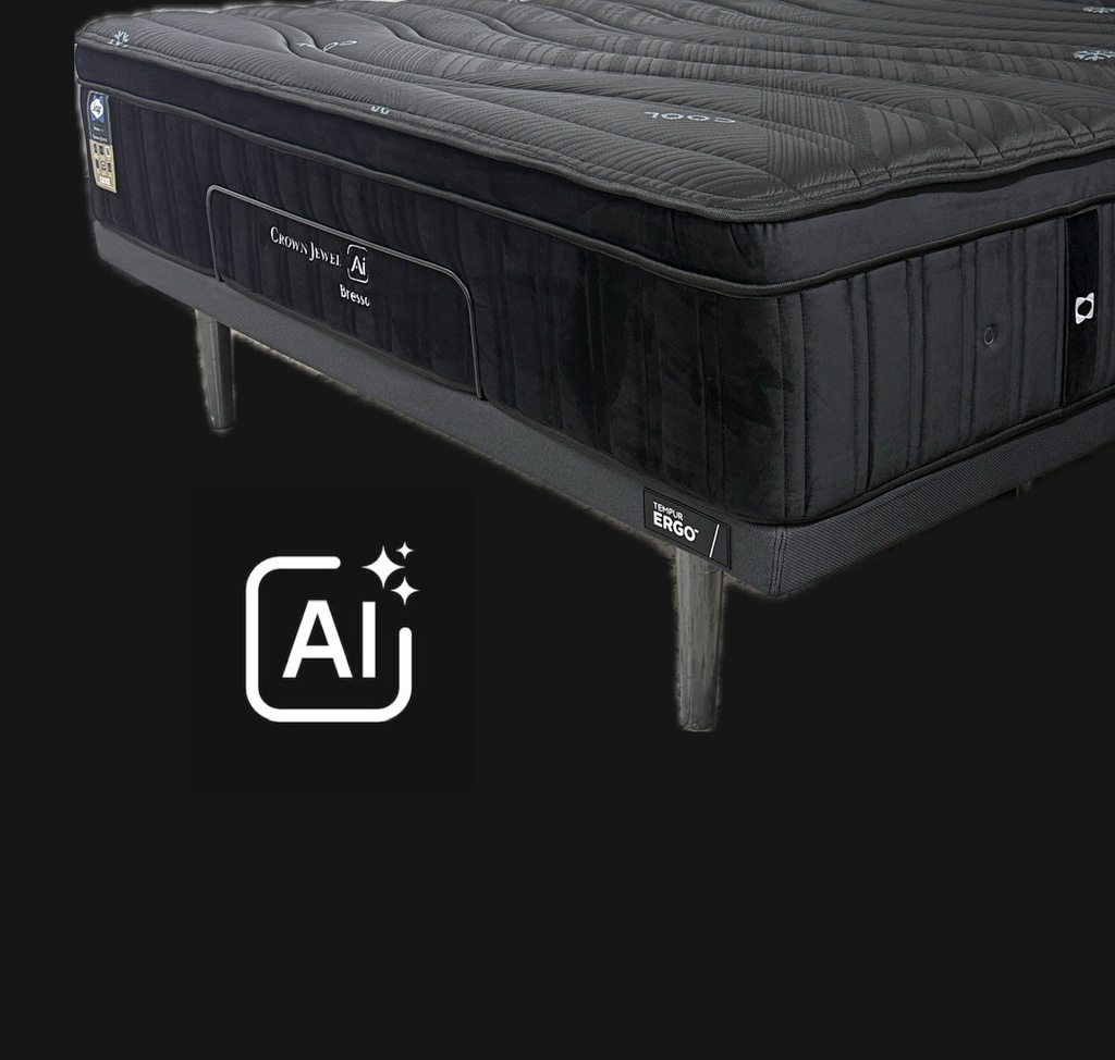 CAMA ELÉCTRICA BRESSO AI