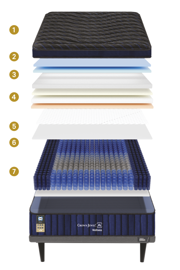 CAMA ELÉCTRICA BRESSO AI