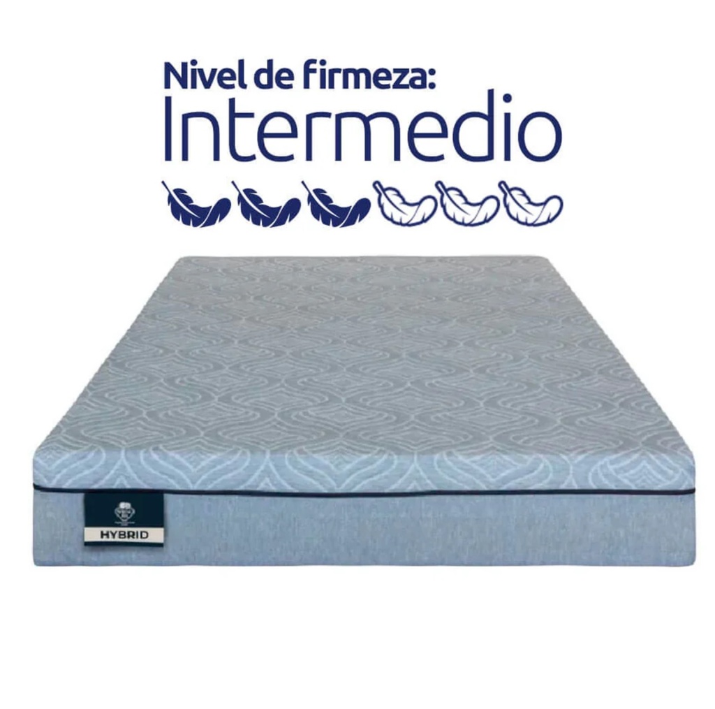 DREAMS IN A BOX HYBRID