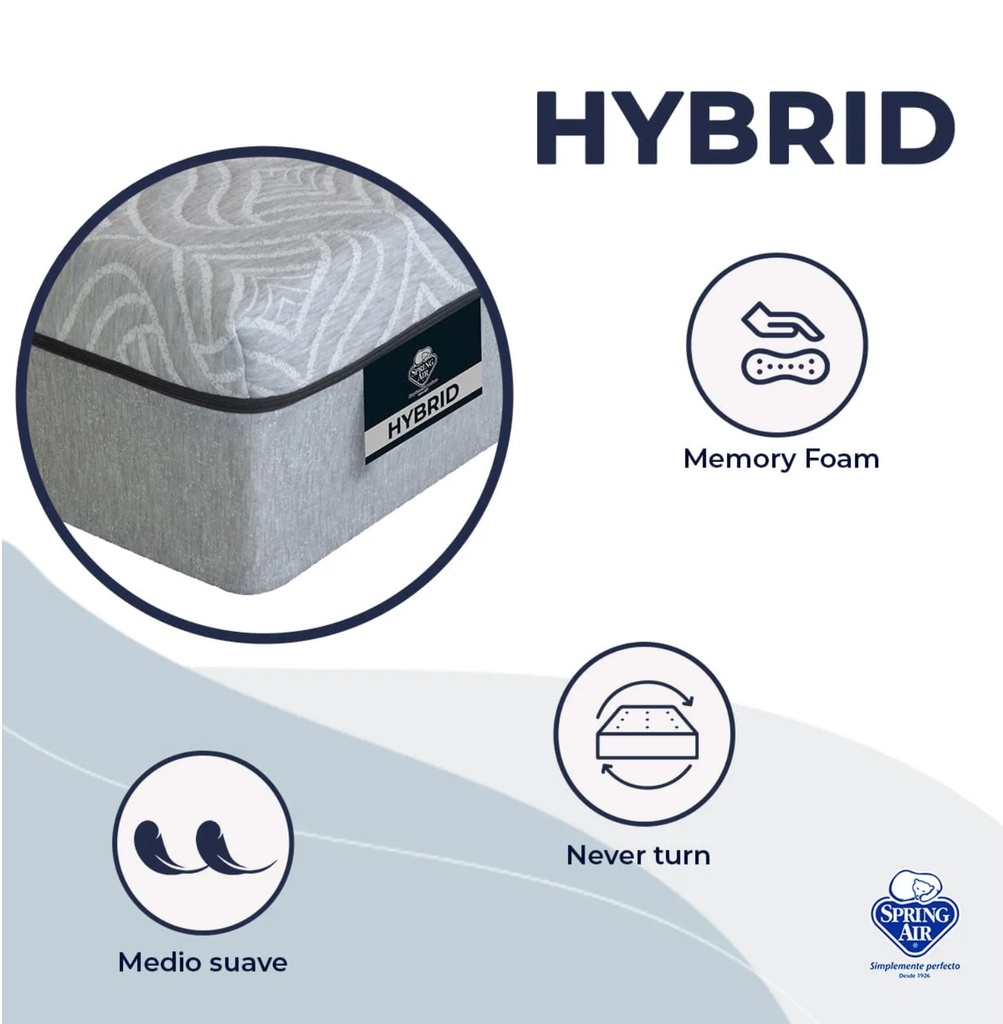 DREAMS IN A BOX HYBRID